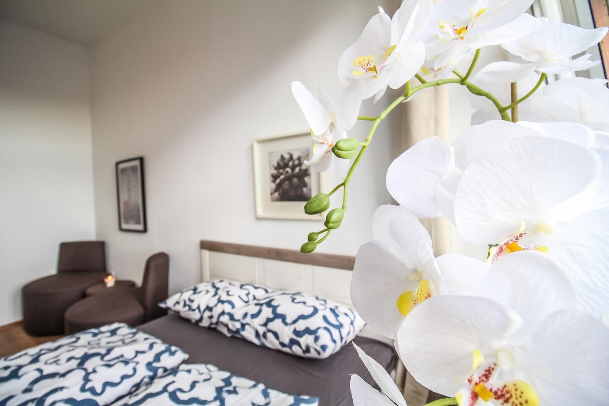 Disc Cozy Rooms In Liesing Wien Ngoại thất bức ảnh